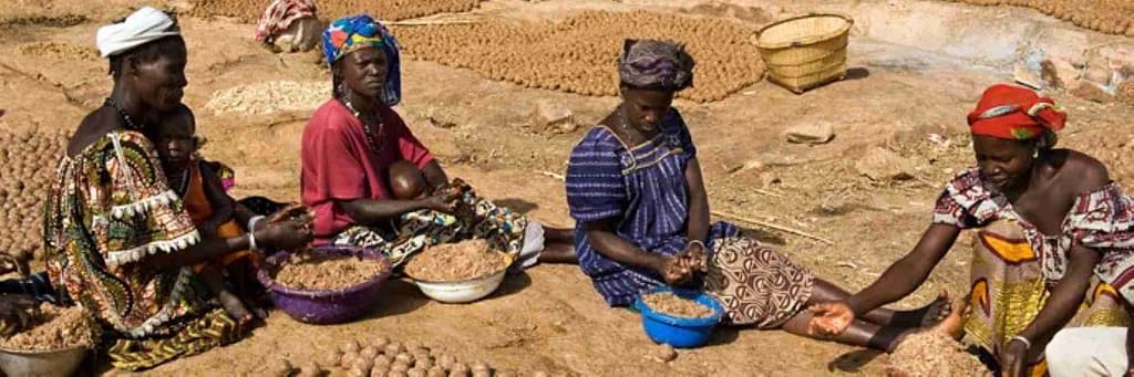 Economía Dogón