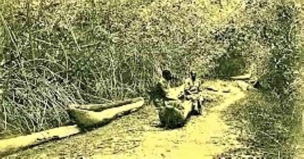 Transporte de productos con valor monetario