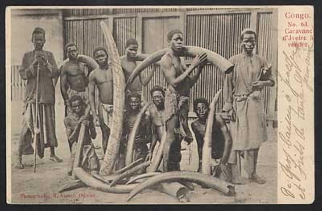 agricultura de los Kongo