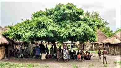 C:\Users\ataan\Pictures\AFRICA fotos Yoruba\AFRICA Holi Jie Benin\3 d12-20_398 (2).jpg