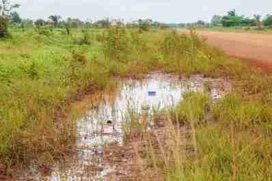 C:\Users\ataan\Pictures\AFRICA fotos Yoruba\AFRICA Holi Jie Benin\5 d12-08_398.jpg