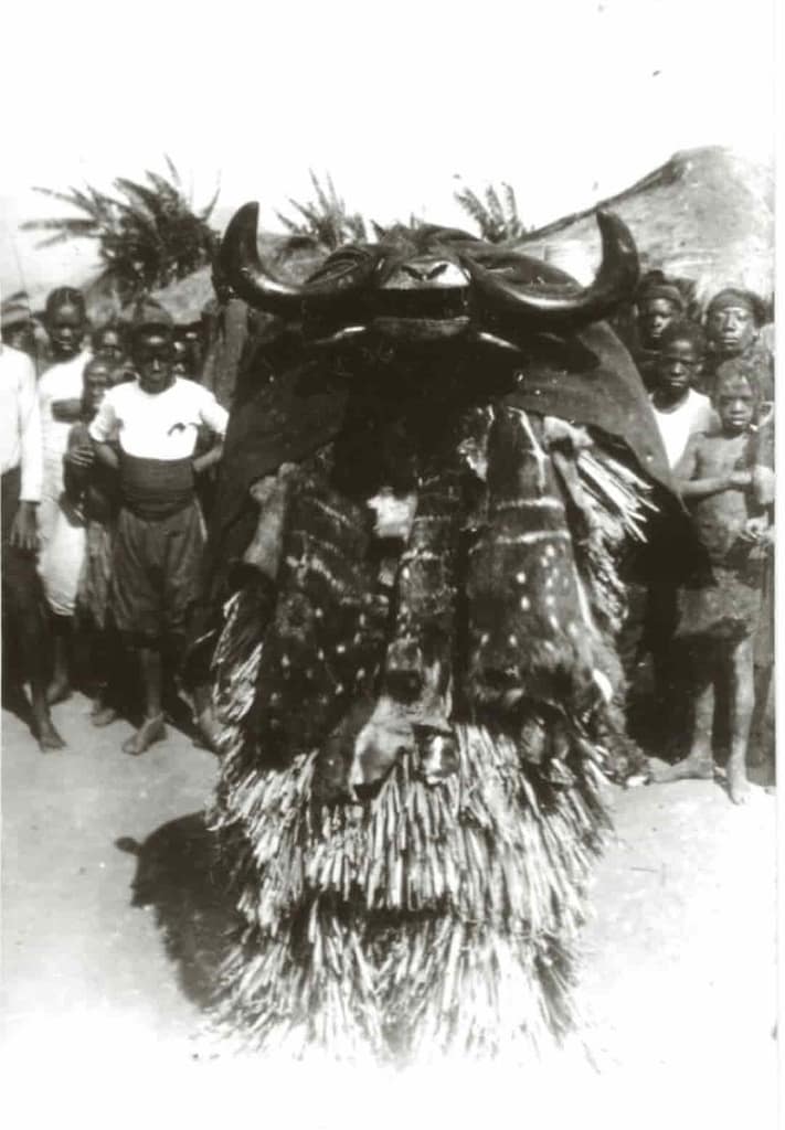 Figura 13 - Máscara de búfalo Tabwa