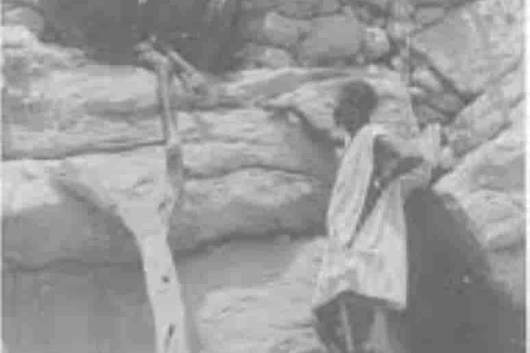 Variedad étnica dogón