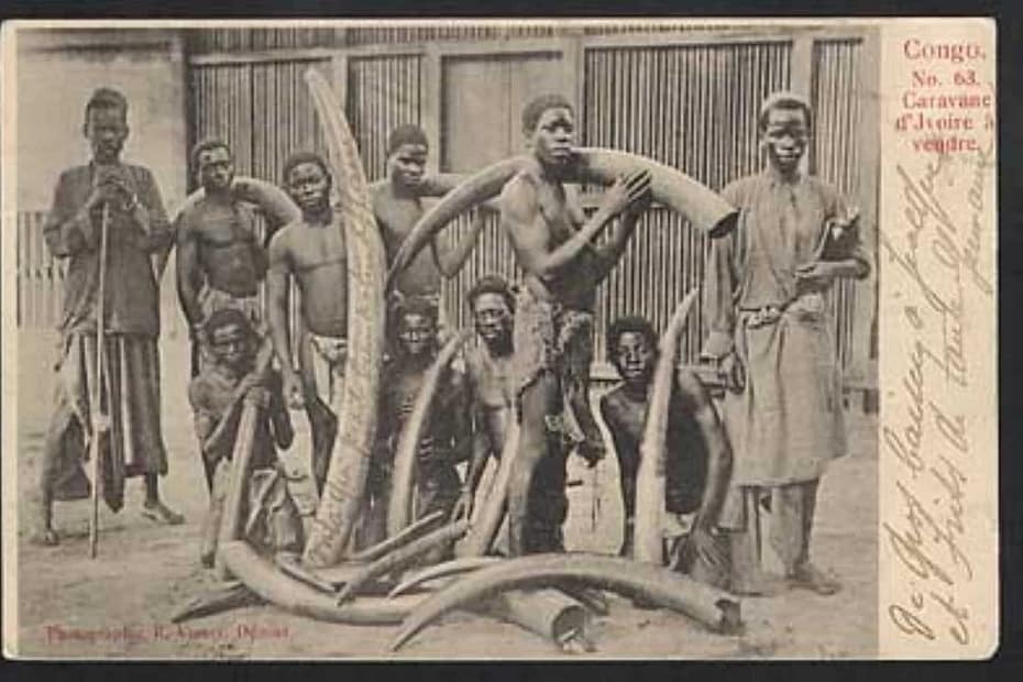 agriculturo de los Kongo