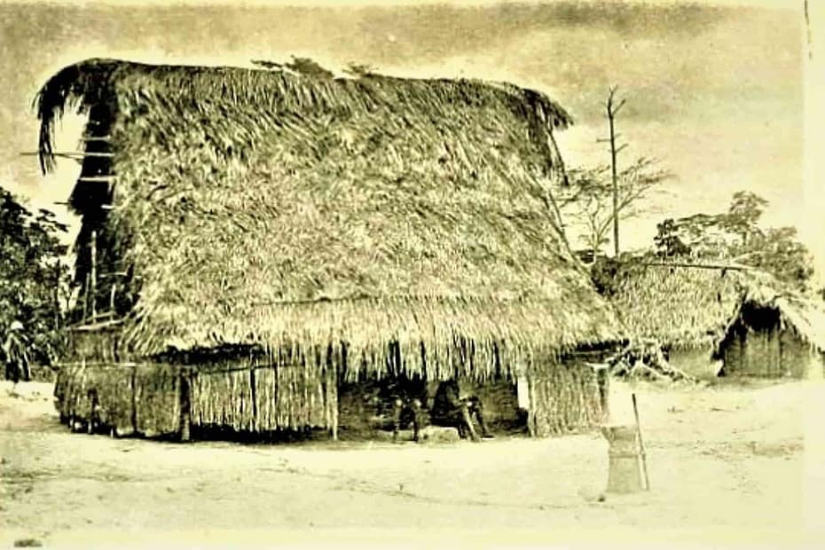 La arboleda de Sande